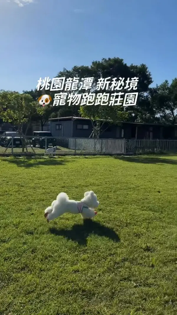 大桔友善莊園 Orange Caf'e & Picnic（預約制）