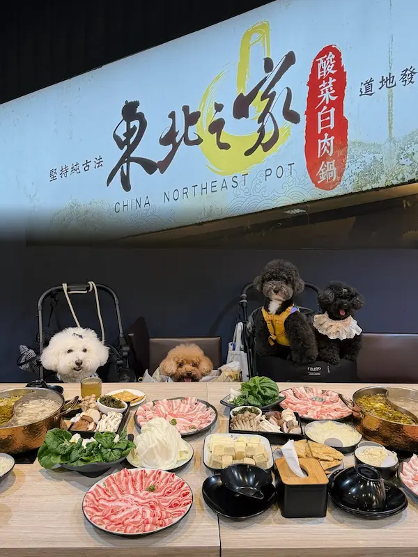 東北之家酸菜白肉鍋 冠軍酸菜