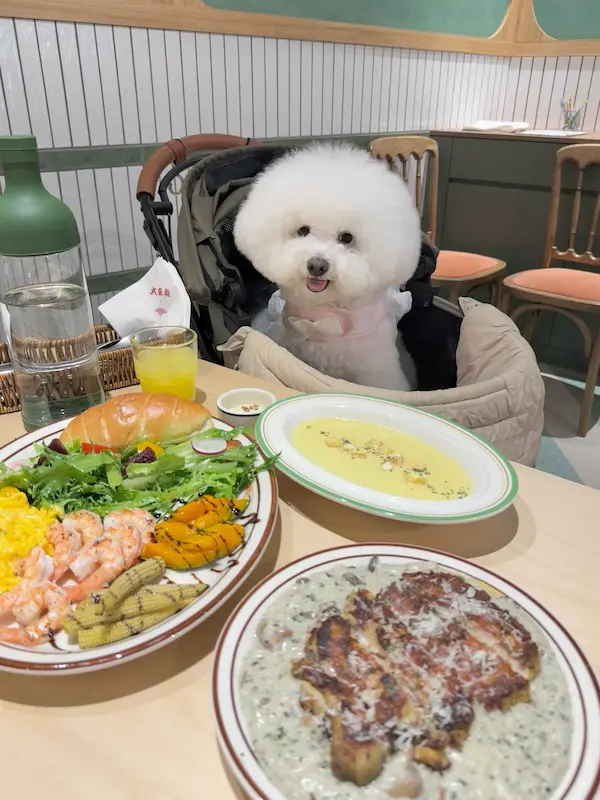 輪輪の町/ 日式早午餐/ 大車輪 餐飲集團 / LunLun JP Brunch / LaLaport 南港