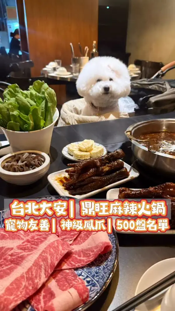 鼎旺麻辣鍋二店229號