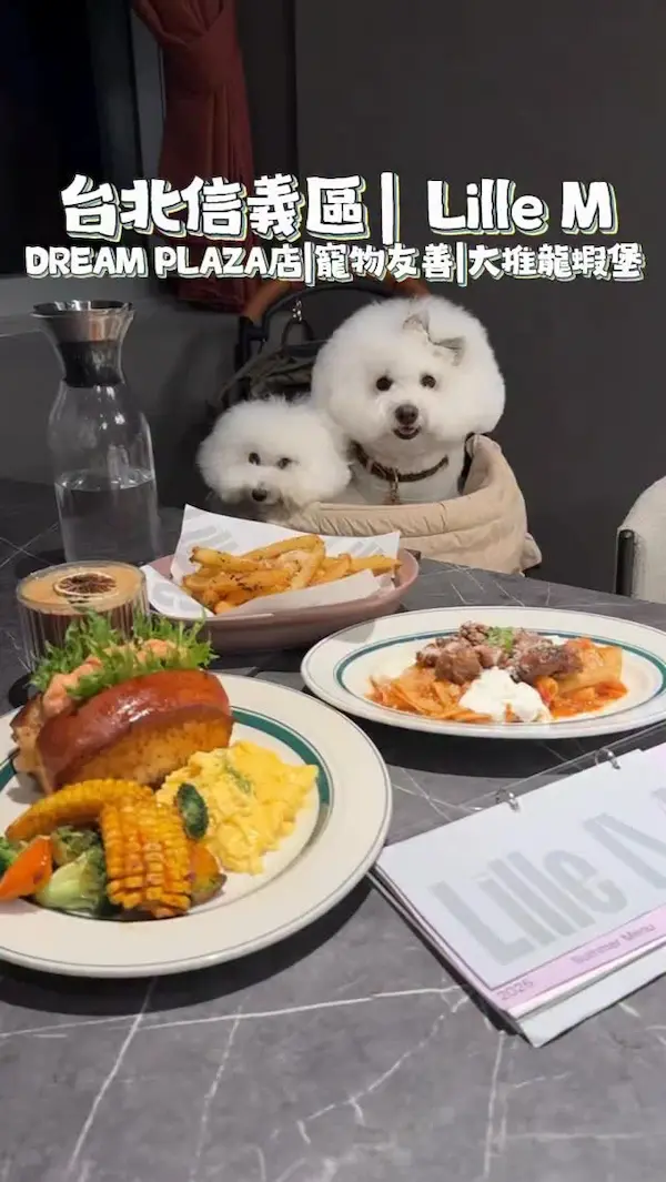 Lille M 信義DREAM PLAZA店