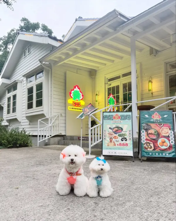 煲榮興港式飲茶餐廳(鐵馬驛站, 親子家庭, 寵物友善)