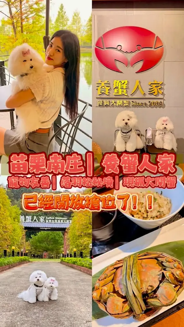 養蟹人家-苗栗在地優質大閘蟹（網路預約優先！每年9月開放預約）