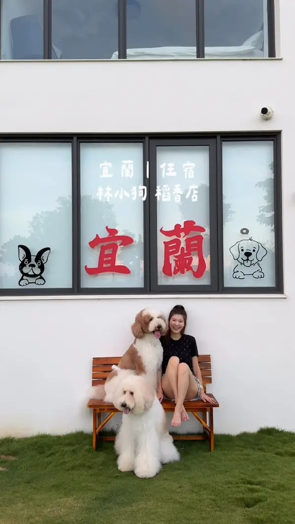 林小狗稻香店maxhome 宜蘭寵物友善民宿