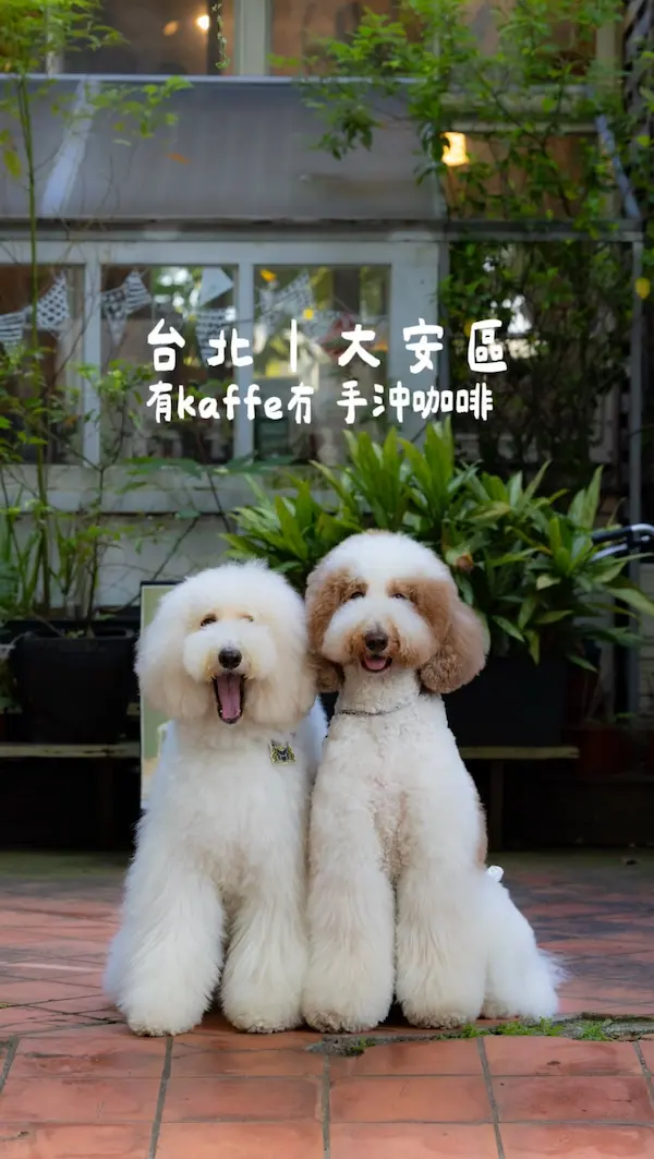 有kaffe冇/台北手沖咖啡 台北咖啡豆 大安區咖啡廳 大安區咖啡豆 忠孝復興咖啡廳 忠孝復興咖啡豆