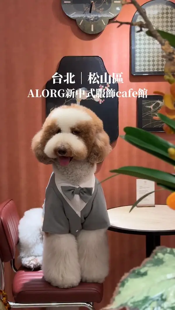 ALORG新中式服飾.西裝訂製｜Cafe.Wine.Workshop(民生社區插座WiFi/不限時 咖啡館/旗袍訂製/唐裝訂製/西裝訂製/中式訂製/松山區咖啡/特色咖啡廳/旗袍訂製咖啡館/複合式咖啡廳/咖啡吧/必吃下午茶/包場/場地租借/寵物友善)