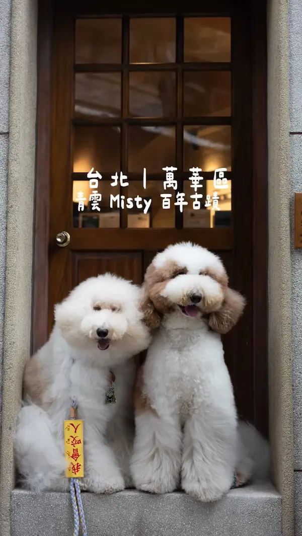 青雲 Misty ｜百年古蹟 咖啡 甜點 酒吧｜Coffee Dessert Bar｜커피 디저트 바｜コーヒー デザート バー｜กาแฟ ของหวาน บาร์