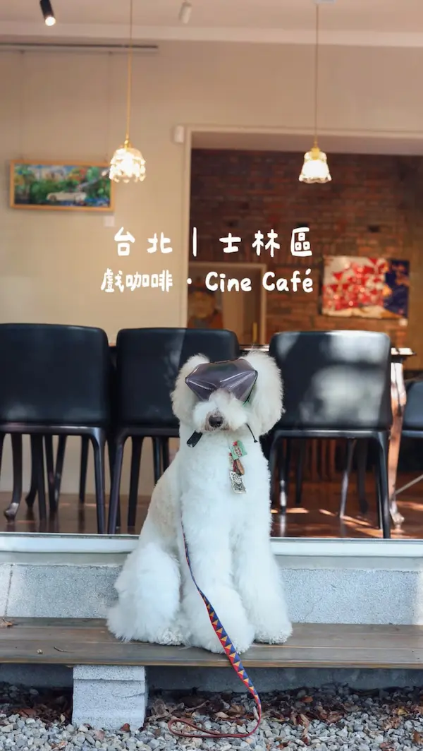 戲咖啡 · Cine Café -陽明山店（公休日請見ig/包場外不接受預訂)