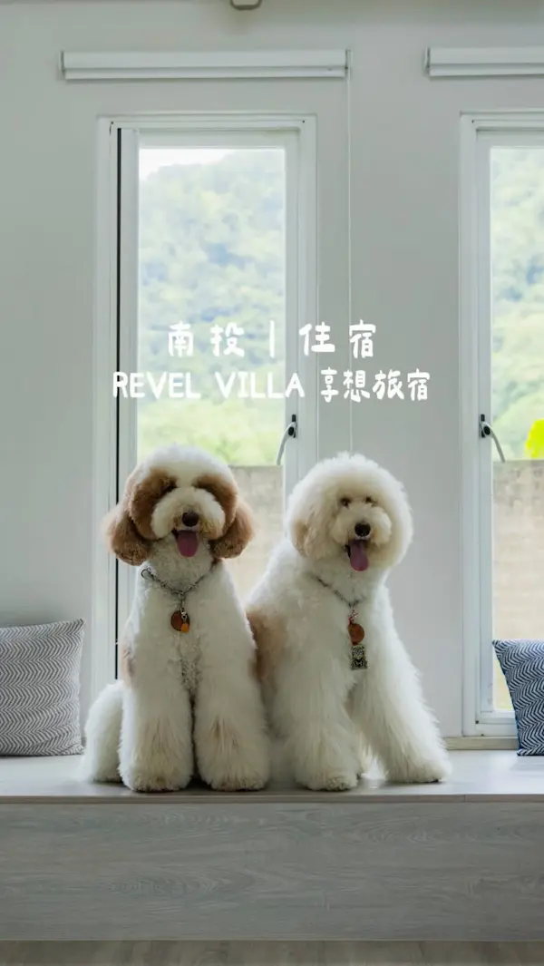 REVEL VILLA 享想旅宿