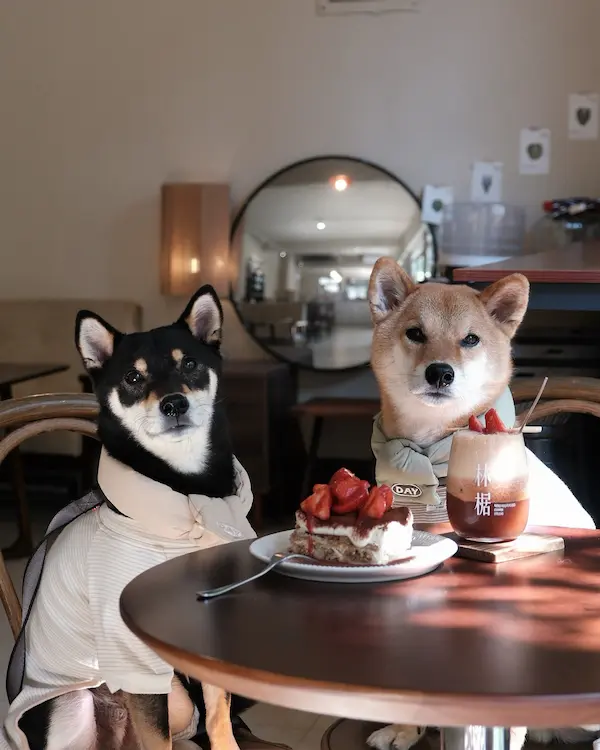 林椐咖啡-自家烘焙咖啡|商業合作|甜點|可頌(店休日依粉絲專頁公告為主)