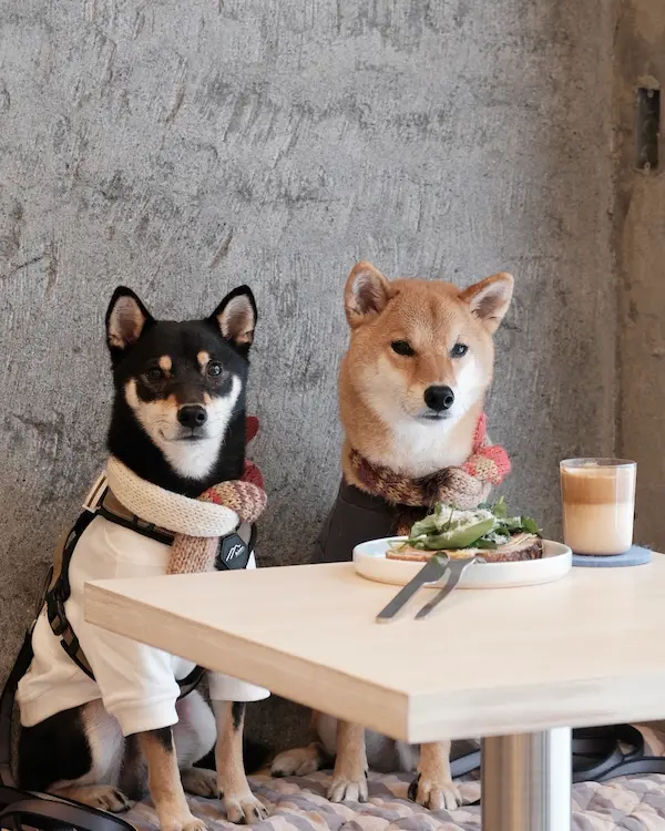 Mowa Coffee Roasters